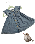 Baby Denim Dress Size 1 (12–18 Months) | Ruffle Collar Button Front Dress
